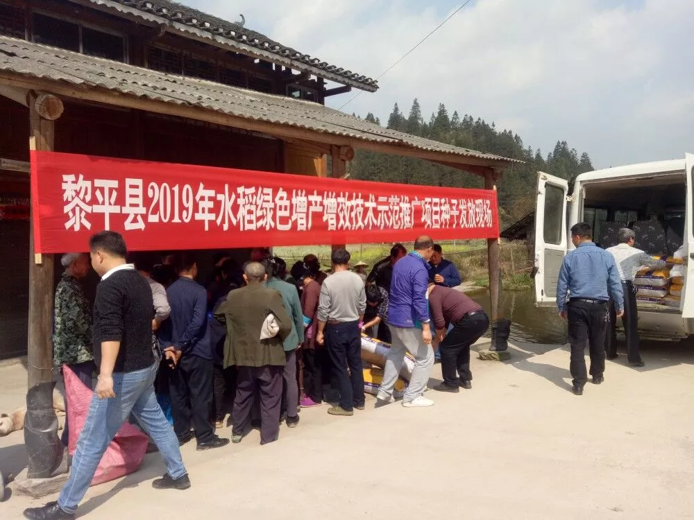 脫貧攻堅春季攻勢 | 黎平德順：千畝優(yōu)質(zhì)稻掀起春季攻勢熱潮