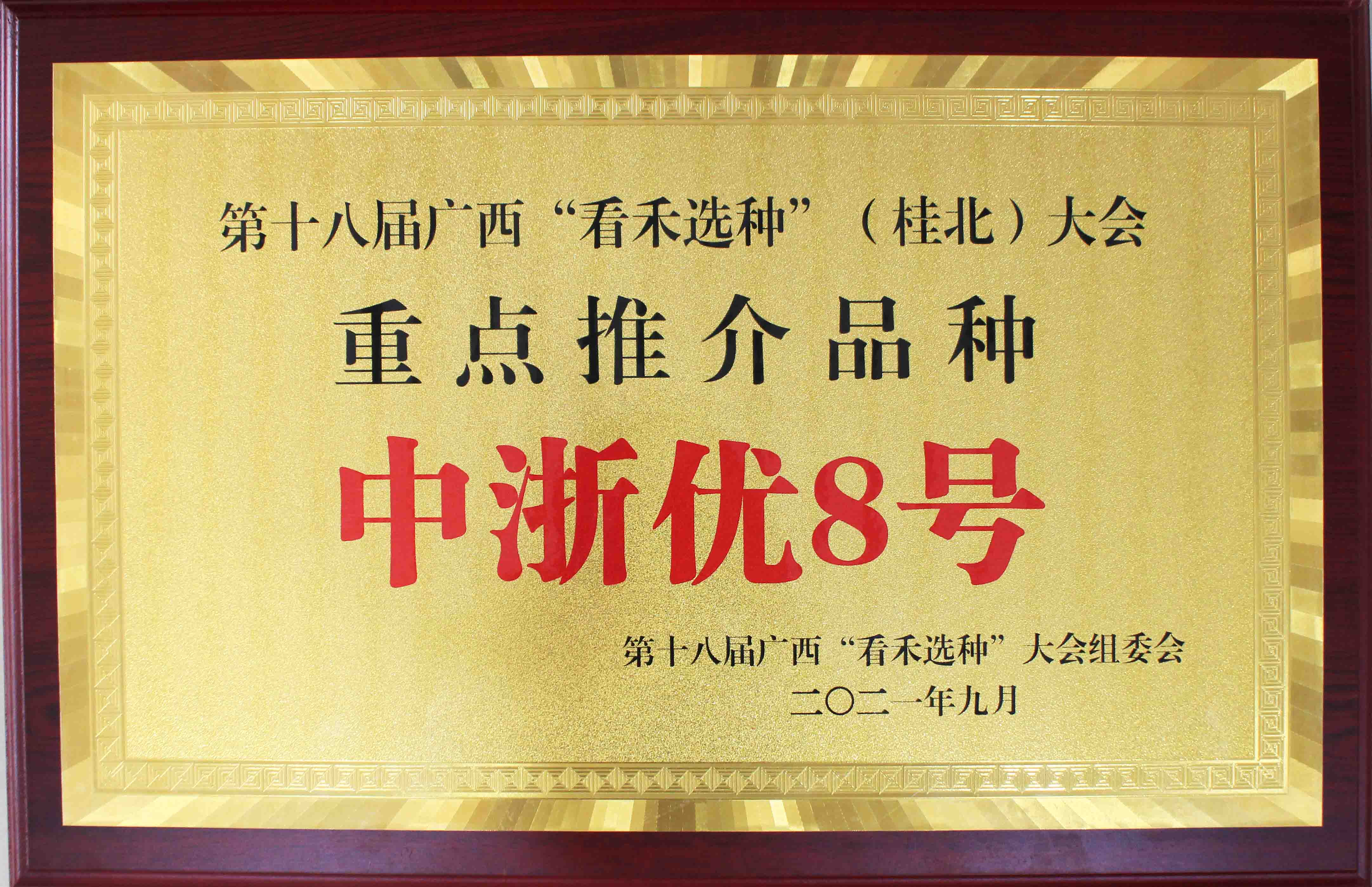 中浙優(yōu)8號-第十八屆廣西“看禾選種”（桂北）大會-重點(diǎn)推介品種