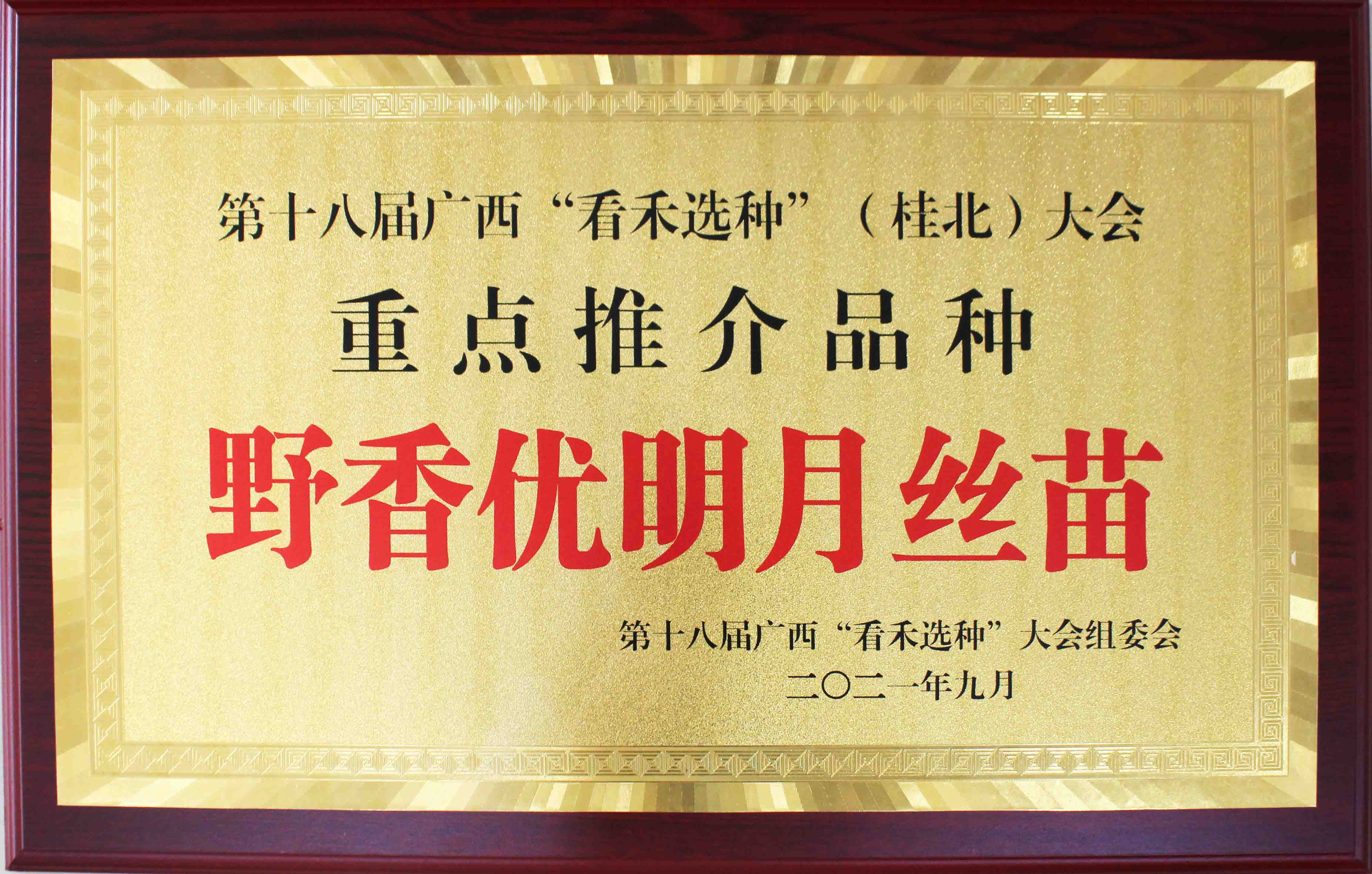 野香優(yōu)明月絲苗-第十八屆廣西“看禾選種”（桂北）大會-重點(diǎn)推介品種